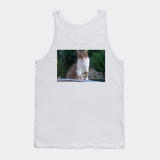 Lucy Queen of the Neighbourhood Cat Portrait Tank Top